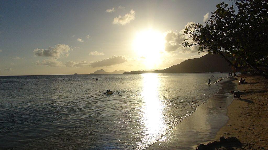 Palm'Studio Anse De Caritan Sainte-Anne Exteriör bild