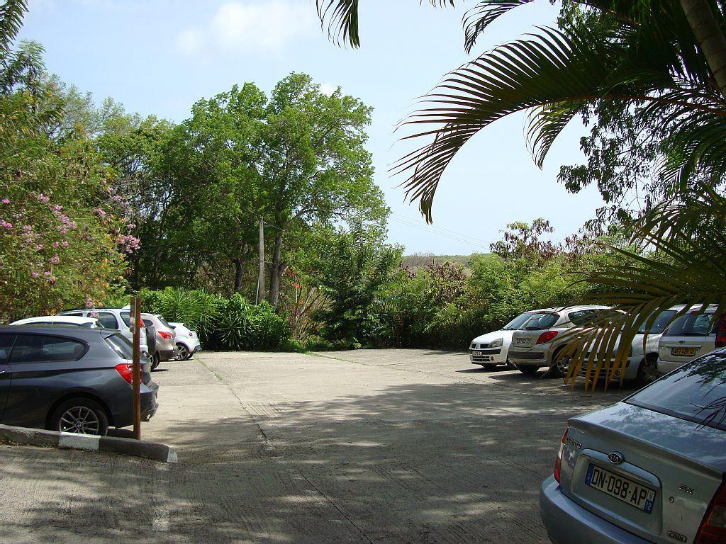 Palm'Studio Anse De Caritan Sainte-Anne Exteriör bild