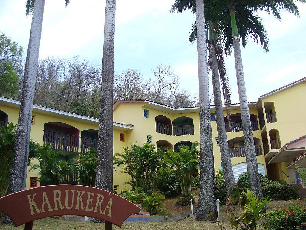 Palm'Studio Anse De Caritan Sainte-Anne Exteriör bild